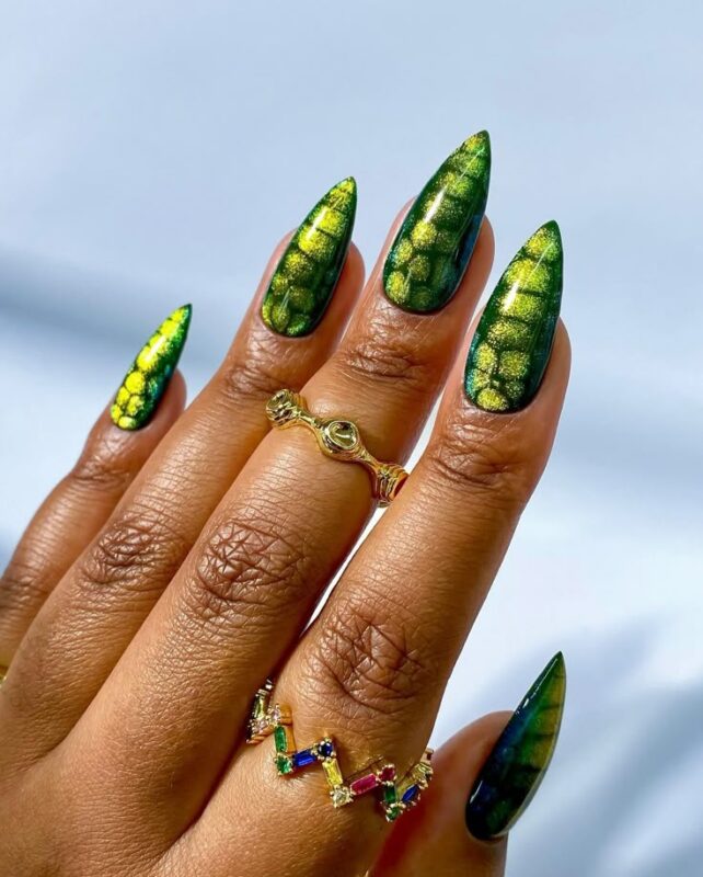 Chameleon Cat Eye Nails