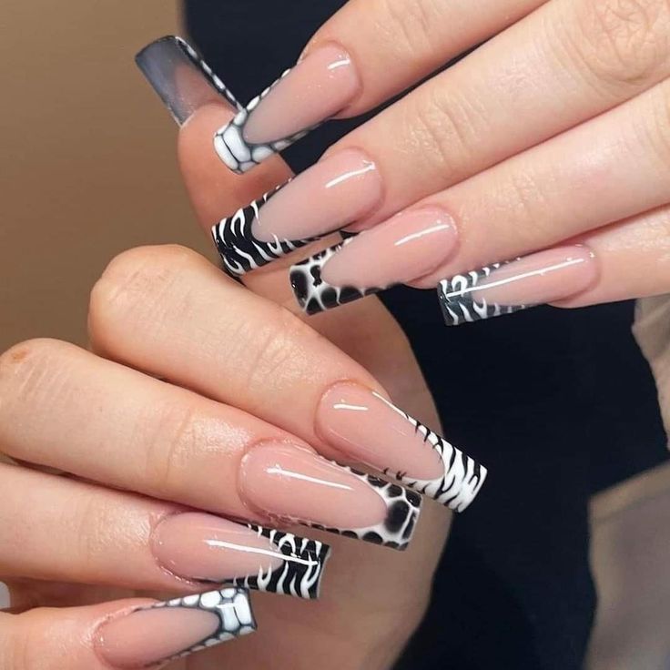 black and white, animal prints