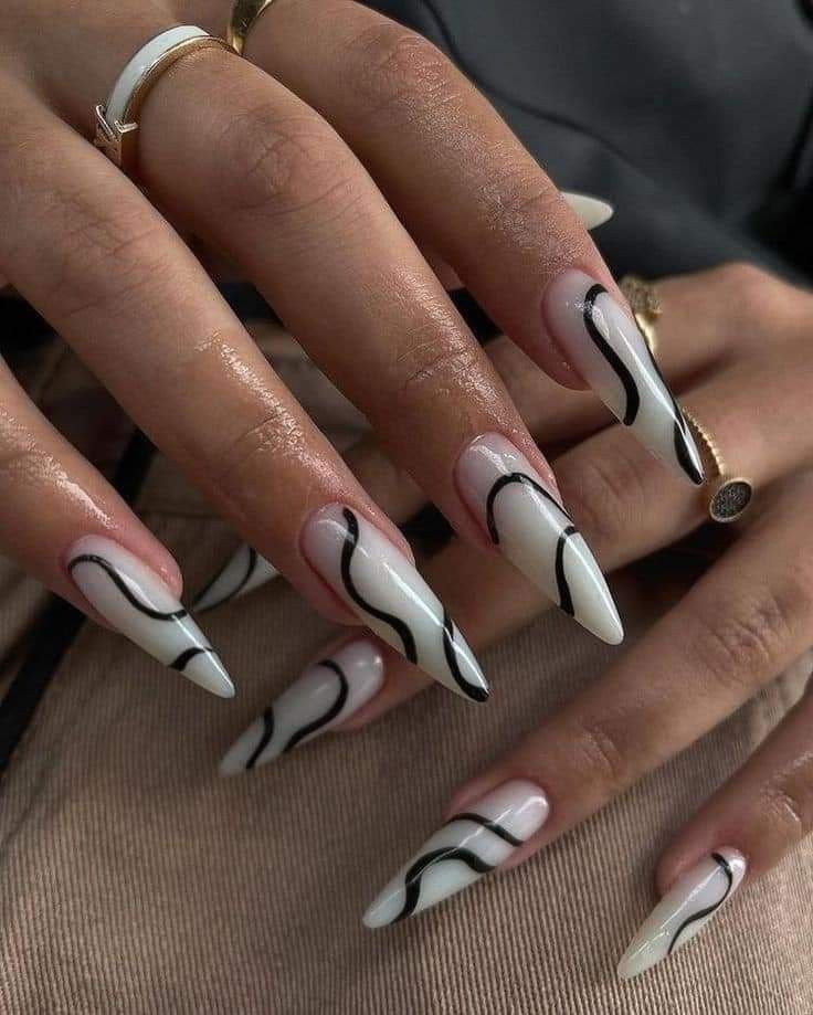 Black and White Stripes