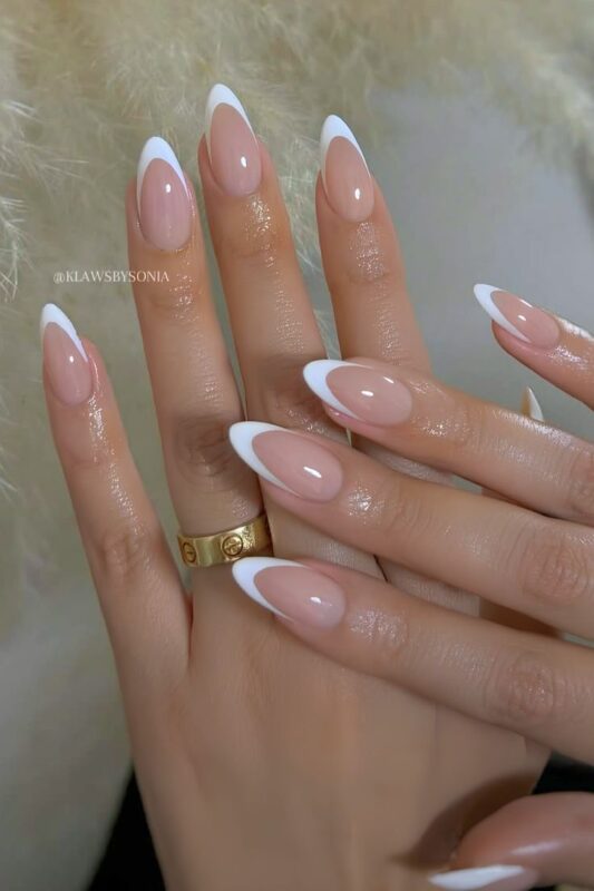 White Frenchies