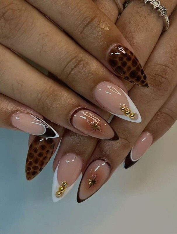 Color Block Meets Cheetah