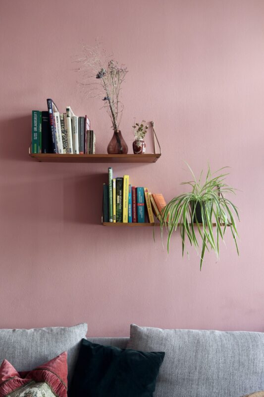 Blush Pink Walls