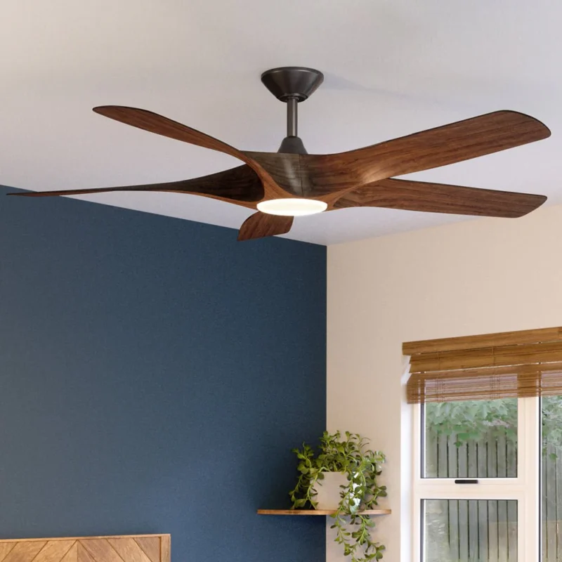 Ceiling fans