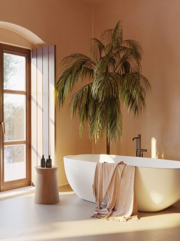 Earthy Color Palette