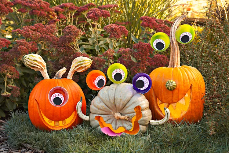 animal pumpkin decorations