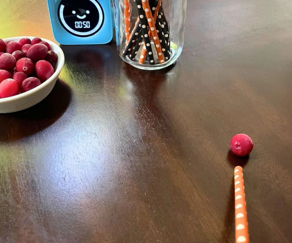Cranberry Cliffhanger for kids